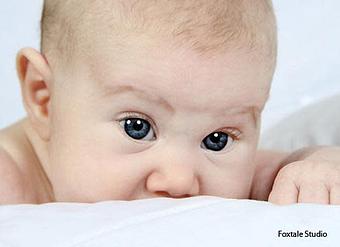 Product - Foxtale Studio in Orleans, VT Misc Photographers