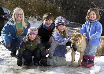 Product - Foxtale Studio in Orleans, VT Misc Photographers