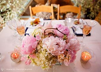 Product - Frances Photography in Arvada, CO Misc Photographers