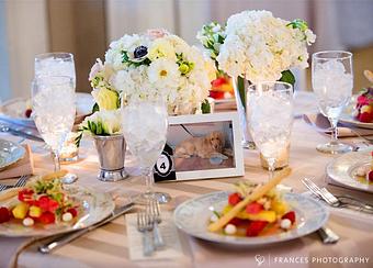 Product - Frances Photography in Arvada, CO Misc Photographers