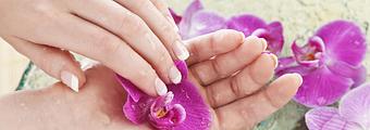 Product - French Nails and Hair Club in Millburn, NJ Manicurists & Pedicurists