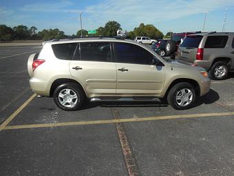 Product - Fresh Start Motors in Altamonte Springs, FL Fruit & Vegetables