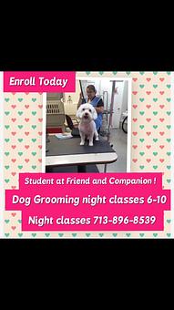 Product - Friend & Companion Pet Grooming and Teaching Academy in Houston, TX Pet Boarding & Grooming