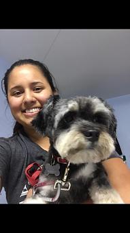 Product - Friend & Companion Pet Grooming and Teaching Academy in Houston, TX Pet Boarding & Grooming