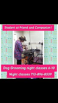 Product - Friend & Companion Pet Grooming and Teaching Academy in Houston, TX Pet Boarding & Grooming