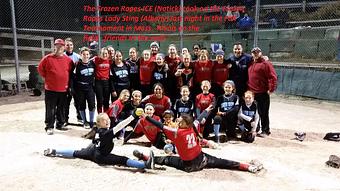 Product - Frozen Ropes - Natick in Natick, MA Ice Cream & Frozen Yogurt