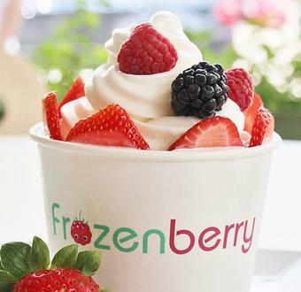 Product - Frozenberry in Fishkill, NY Dessert Restaurants