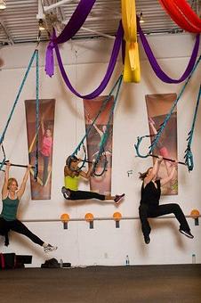 Product - Fullbody Fitness Club in Pittsburgh, PA Health Clubs & Gymnasiums