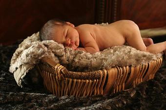 Product - Gallery Portaiture in Kansas City, MO Art Galleries & Dealers