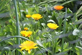 Product - GBGH Photography in Kenmore, WA Misc Photographers