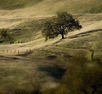 Product - Gentry Studio in Fallbrook, CA Misc Photographers