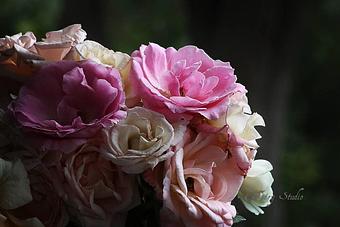 Product - Gentry Studio in Fallbrook, CA Misc Photographers