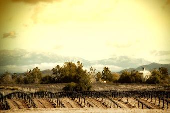 Product - Gentry Studio in Fallbrook, CA Misc Photographers