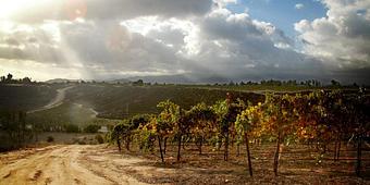 Product - Gentry Studio in Fallbrook, CA Misc Photographers