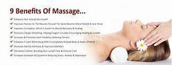 Product - Get Pampered in North Bend - North Bend, OR Pet Boarding & Grooming