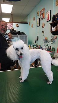 Product - Gette A Groom in Klamath Falls, OR Pet Boarding & Grooming Product - Gette A Groom in Klamath Falls, OR Pet Boarding & Grooming