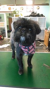 Product - Gette A Groom in Klamath Falls, OR Pet Boarding & Grooming Product - Gette A Groom in Klamath Falls, OR Pet Boarding & Grooming