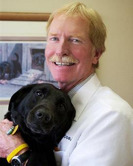 Product - Good Samaritan Veterinary Hospital in San Leandro, CA Hospitals
