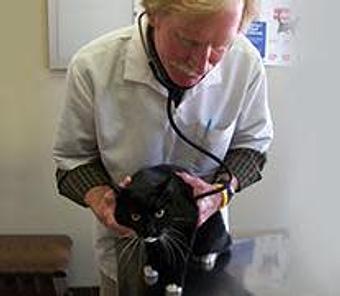 Product: We can't stress enough the importance of routine wellness care. Remember, your pets can't tell you when there's something wrong! - Good Samaritan Veterinary Hospital in San Leandro, CA Hospitals