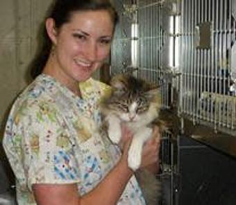 Product: Feel great about boarding your pets under the care of veterinary technicians with doctors on hand. - Good Samaritan Veterinary Hospital in San Leandro, CA Hospitals
