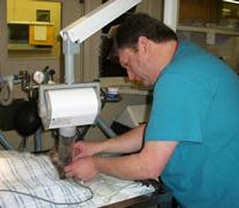 Product: Our Registered Veterinary Technicians very experienced at dental cleanings. - Good Samaritan Veterinary Hospital in San Leandro, CA Hospitals