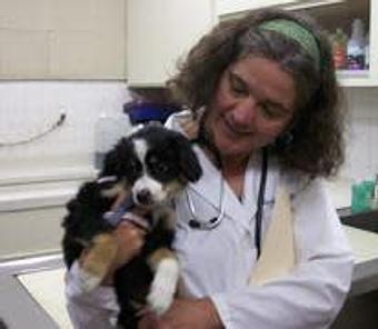 Product: Dr. Leeking is getting this little darling off to a great start in life! - Good Samaritan Veterinary Hospital in San Leandro, CA Hospitals