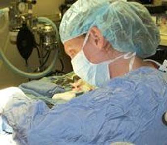 Product: Dr. Eklof performs a routine spay surgery - Good Samaritan Veterinary Hospital in San Leandro, CA Hospitals