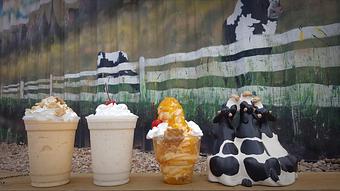 Product - Graff Dairy in Grand Junction, CO Dessert Restaurants