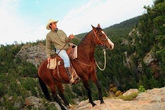 Product - Grand Lake Stable in Grand Lake, CO Travel & Tourism