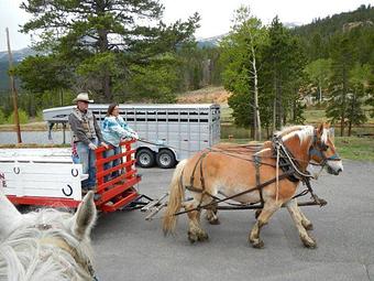 Product - Grand Lake Stable in Grand Lake, CO Travel & Tourism
