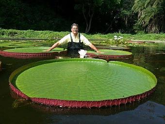 Product - Grassland Aquatics in Franklin, TN Sports & Recreational Services