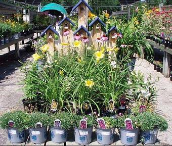 Product - Green Bay Nursery in Green Bay, WI Nurseries & Garden Centers