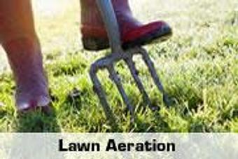Product - Green Top Lawn Care in Euless, TX Lawn Maintenance Services
