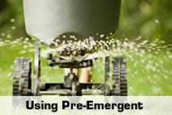 Product - Green Top Lawn Care in Euless, TX Lawn Maintenance Services