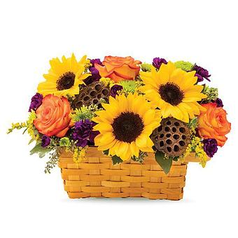 Product - Greensleeves Florist VA in Fairfax, VA Florists