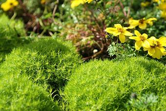 Product - GreenTown LLC in Greenwich, CT Business Services