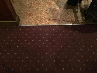 Product - Guaranteed Carpet & Tile Care in Bradenton, FL Carpet Rug & Linoleum Dealers