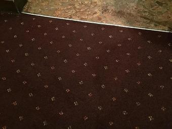 Product: Results after Guaranteed Carpet & Tile Care - Guaranteed Carpet & Tile Care in Bradenton, FL Carpet Rug & Linoleum Dealers