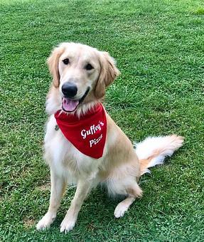 Product - Guffey's Pizza in Pacific, MO Pizza Restaurant