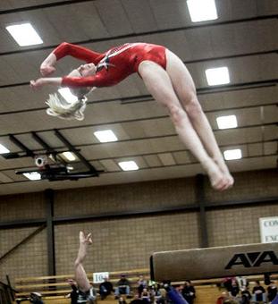 Product - Gymfinity in Fitchburg, WI Sports & Recreational Services