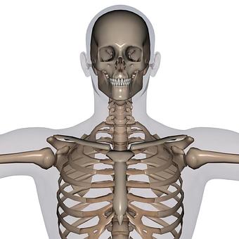 Product - Hands On Healing in West Jordan, UT Massage Therapy