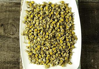 Product: Egyptian chamomile blossoms are a great caffeine-free herbal alternative to our teas. The buttery body and apple-like aroma can be enhanced with a touch of honey for a soothing beverage that can be enjoyed throughout the day. - Harold's Coffee Lounge in Northwood - West Palm Beach, FL Coffee, Espresso & Tea House Restaurants