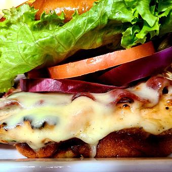 Product - Harrison's Landing in Shoreline Blvd. - Corpus Christi, TX American Restaurants