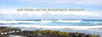 Product - Hawaii Naturopathic Retreat Center in Hilo, HI Restaurants/Food & Dining