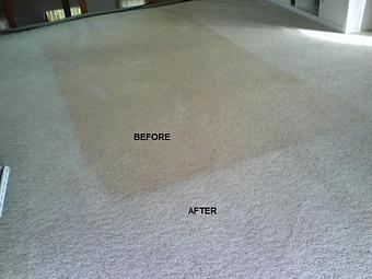 Product - Heavenscent Carpet Cleaning in Meadows At Redwood - Fort Collins, CO Carpet Rug & Upholstery Cleaners