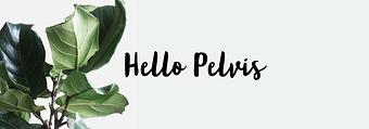 Product - Hello Pelvis in Tacoma, WA Health & Medical