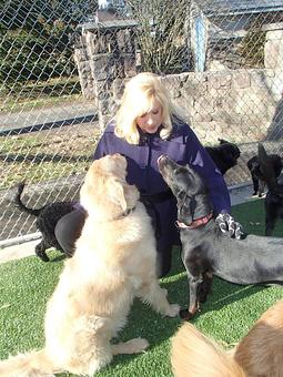 Product - Holiday House Pet Resort in Doylestown, PA Pet Boarding & Grooming