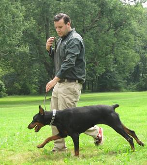 Product - Holiday House Pet Resort in Doylestown, PA Pet Boarding & Grooming