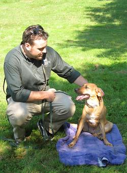 Product - Holiday House Pet Resort in Doylestown, PA Pet Boarding & Grooming