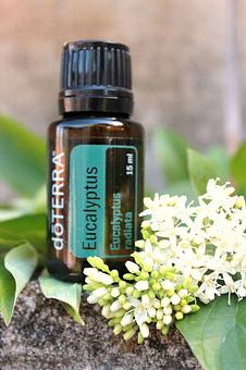 Product: Visit www.doterra.com/sheenahudson or call 724-747-9749 to place an order:) Price does not include S&H. - Holistica in Washington, PA Health & Medical